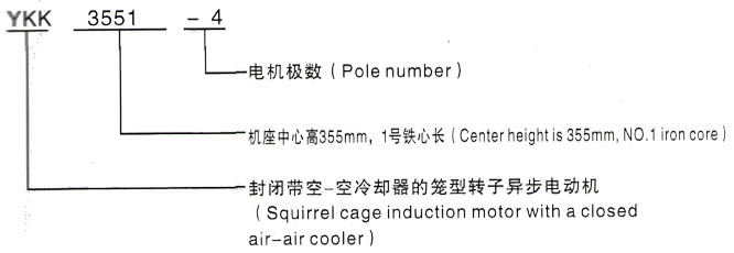 YKK系列(H355-1000)高压Y5001-10三相异步电机西安泰富西玛电机型号说明